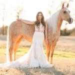 What you should know about Marital Contracts